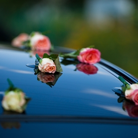 wedding_transfer_chaufferus